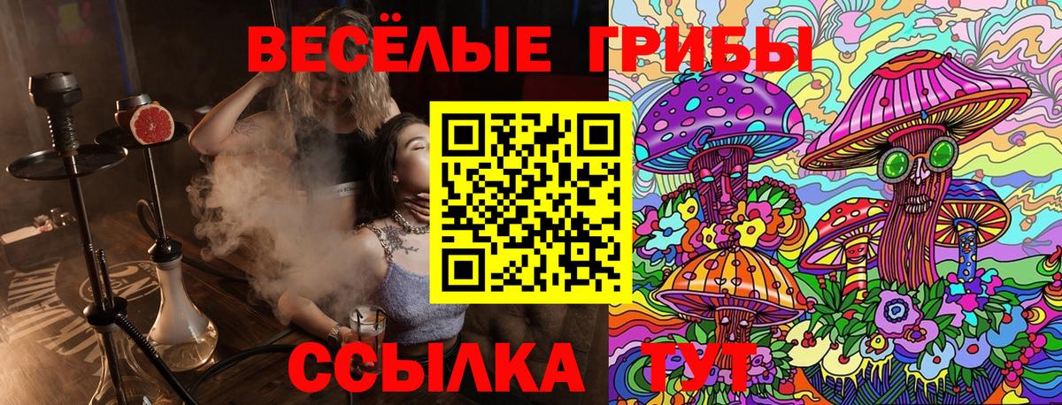 Псилоцибиновые грибы Magic Shrooms  Вход с VPN  Бахчисарай 